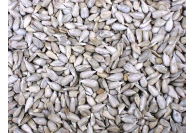 Sunflower Hearts 1kg